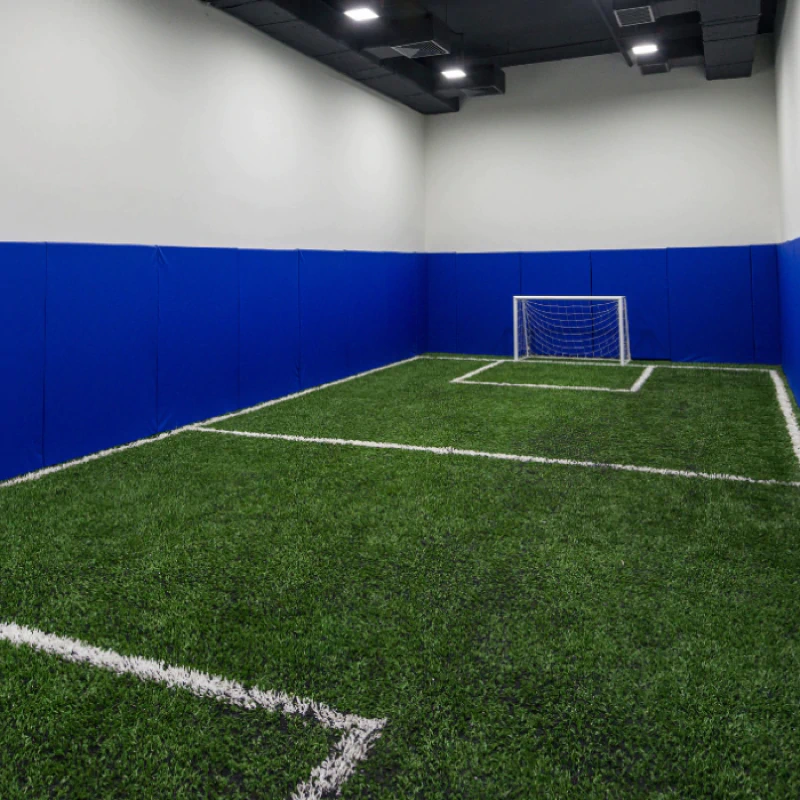 Indoor Turf